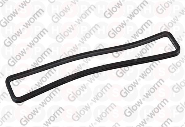 Gasket (flue hood front)