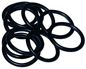 O-ring (PK10)