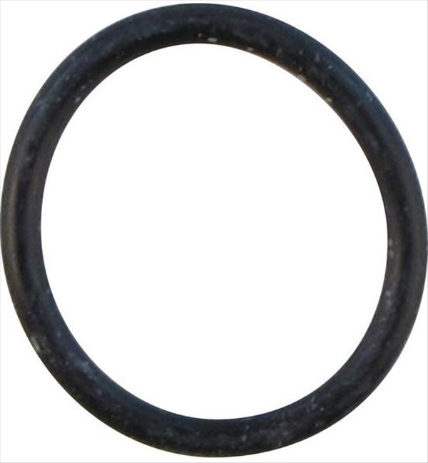 O RING GASKET 1 78 X 15 6  BI1001 131