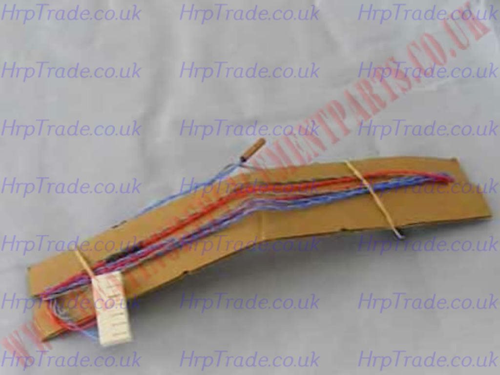 THERMISTORS & HARNESS RD2