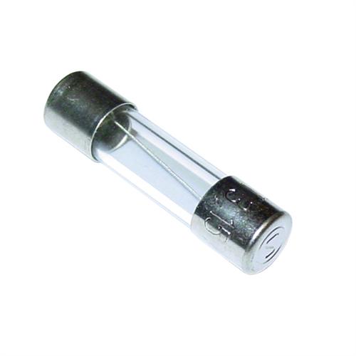 Anti-Surge Glass Fuse - 20mm 3.15A (3)