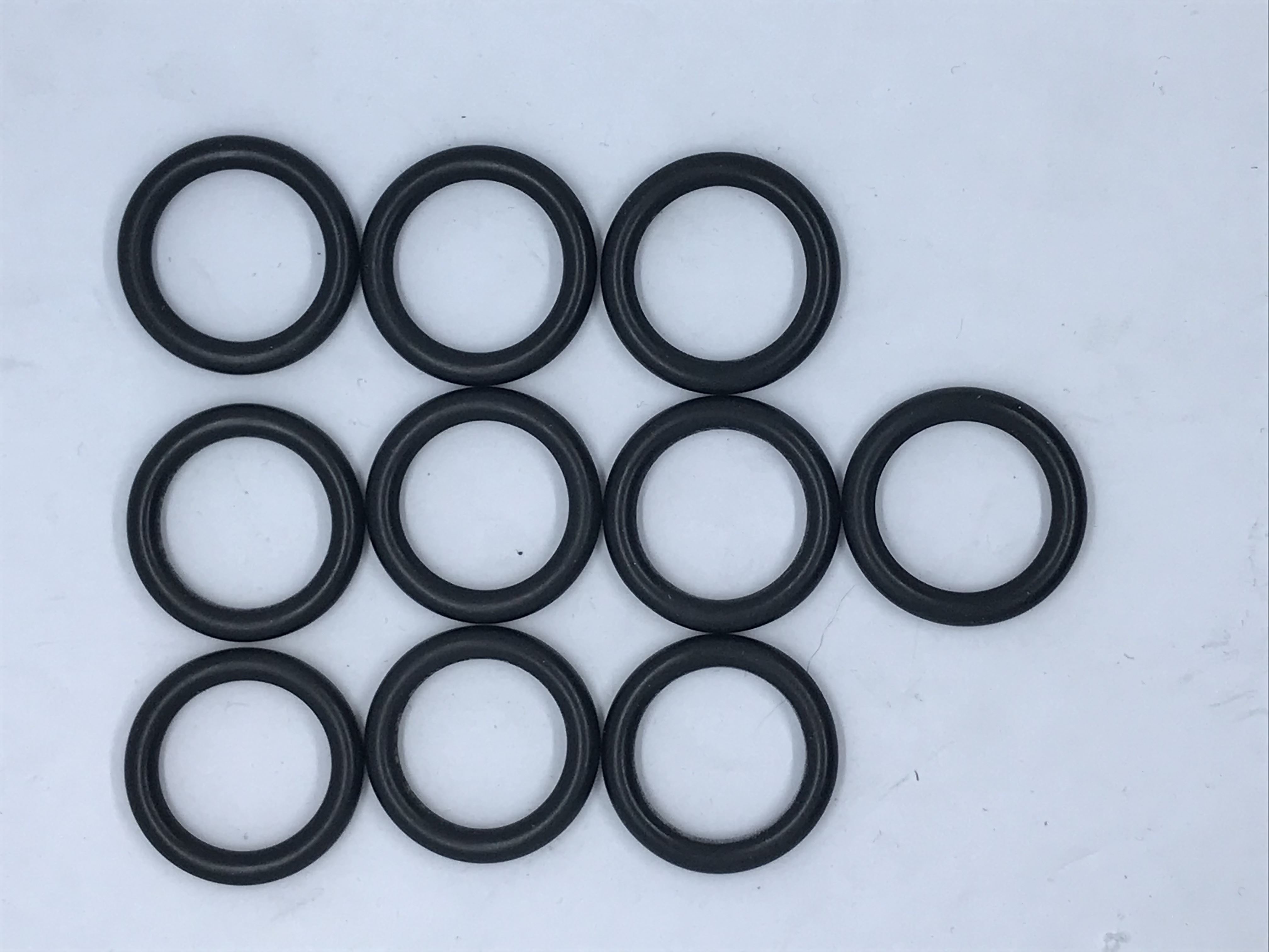 O-ring (x10)