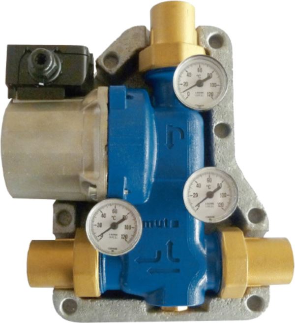 BIOMASS 1'''' Ecomatic Compact Anti Condensation Pump (Mix at 55C)