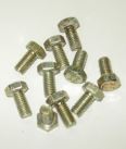 Screw (Diaphragm) 10/Pack