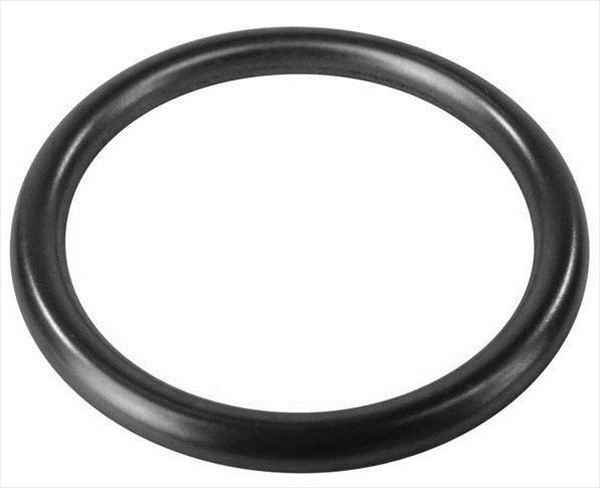 O RING 22.22 x 2.62