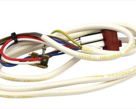 Mains inlet harness