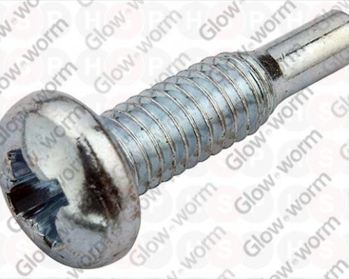 Screw (M4x10mm)