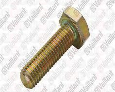Hexagonal screw