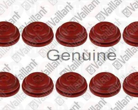 Gasket (PK10)