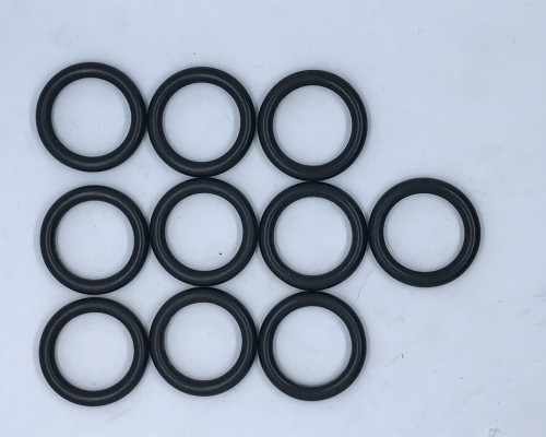 O-ring (x10)