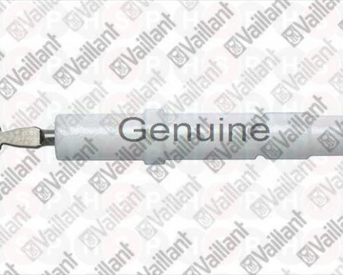Electrode