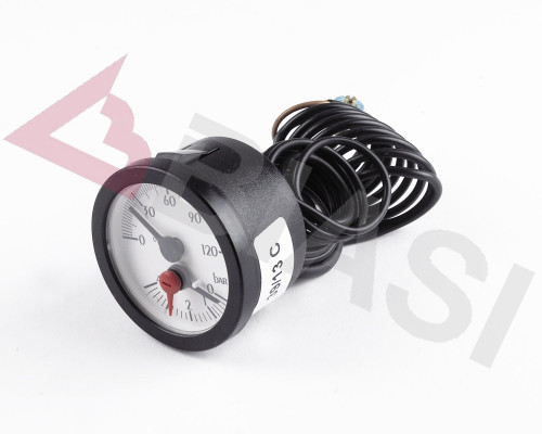 TEMPERATURE PRESSURE GAUGE - Biasi