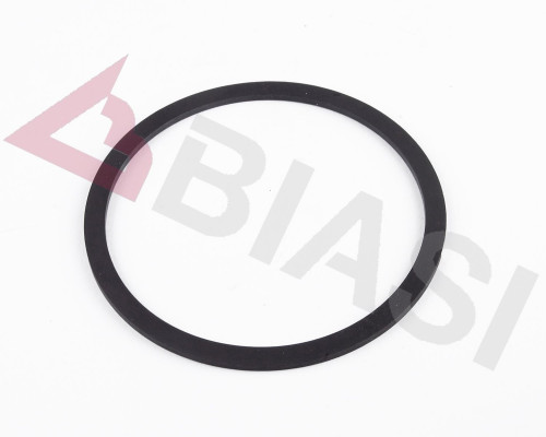 PUMP GASKET FRONT - Biasi