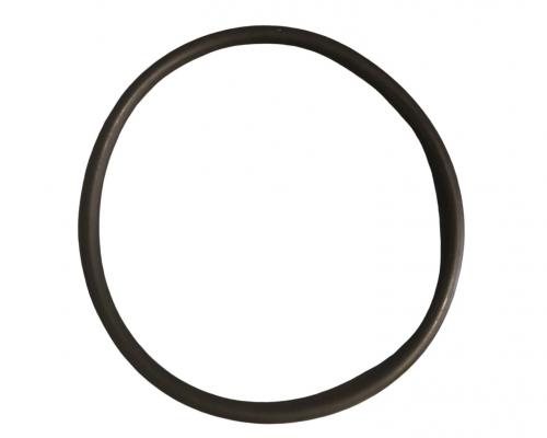 3.53 X 61.91 O-RING - Biasi