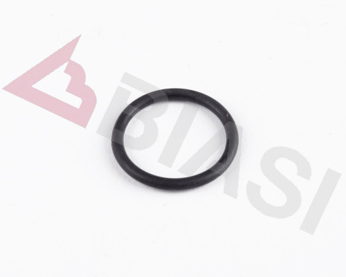 O RING GASKET 1,9X16 - Biasi