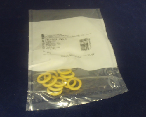 O-RING (10X)