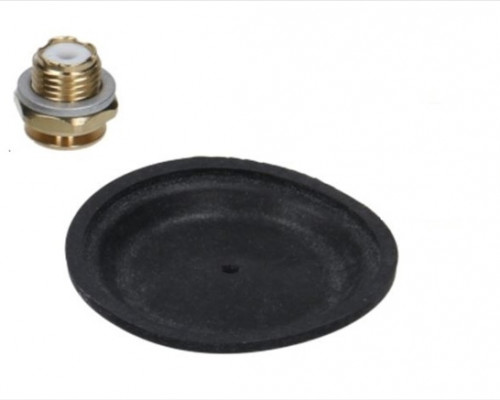 DIAPHRAGM REP KIT DWH (MAX/IN)