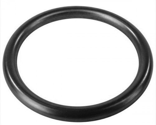 O RING 22.22 x 2.62