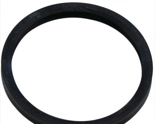 GASKET WITH DOUBLE LIP