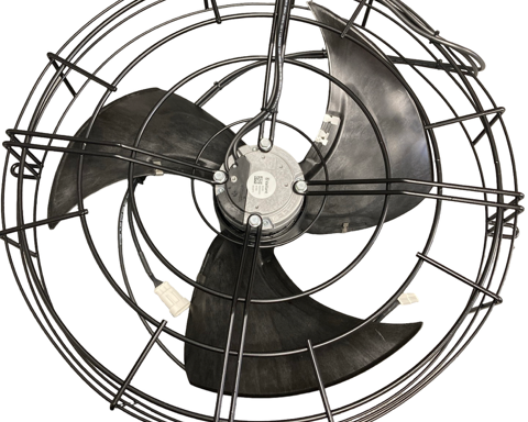 Fan
