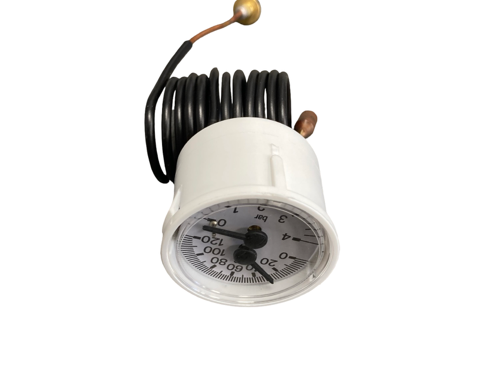 TEMPERATURE PRESSURE GAUGE - Biasi