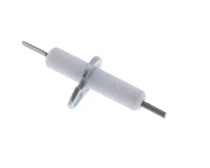 Electrode