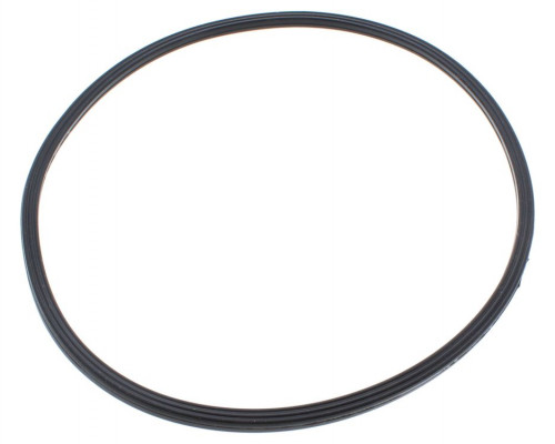 COMBUSTION CHAMBER LIP GASKET - Biasi