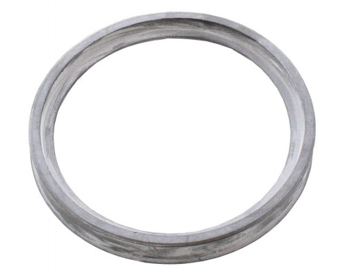 Lip seal EPDM (DN 60)
