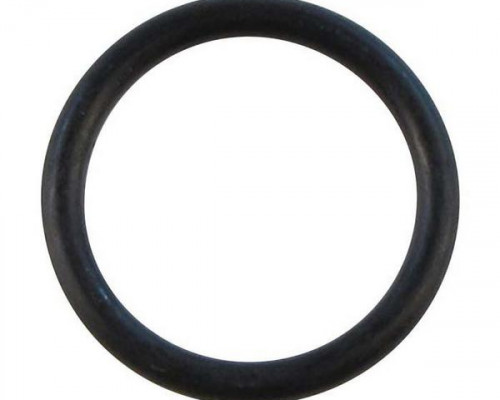 O-ring (PK10)