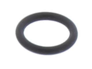 O-RING 925 X 178 - Biasi