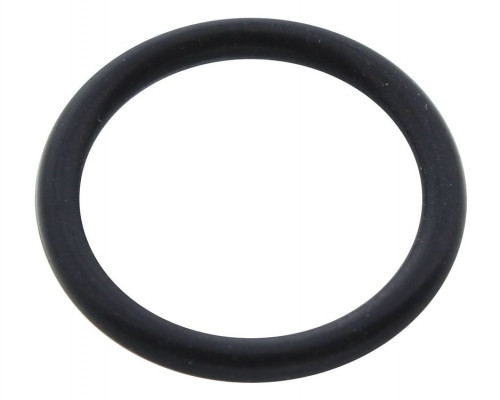 RING GASKET 1.78X12.42 BYPASS - Biasi