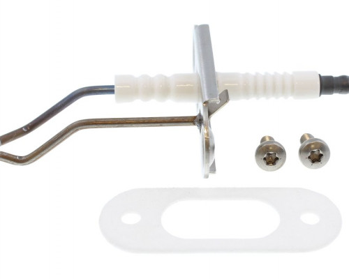 Electrode screw  gasket