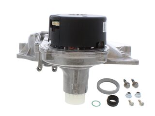 Fan, with combustion chamber cover