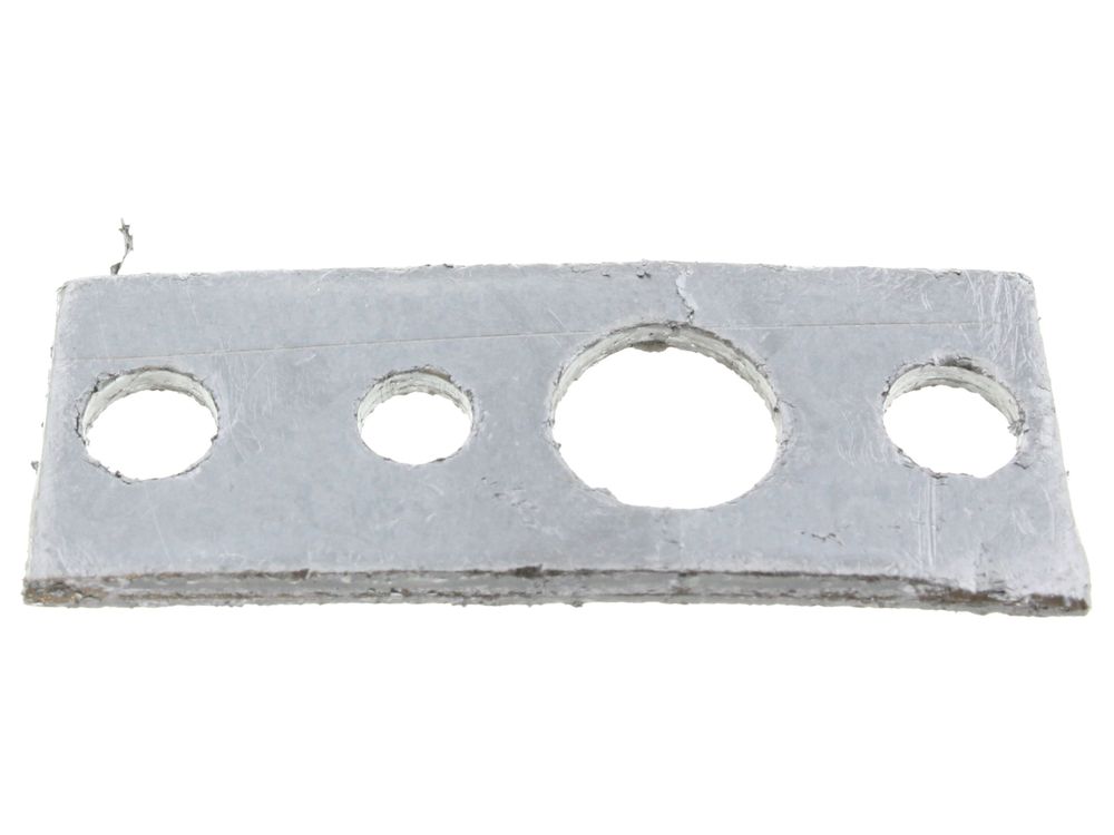 Gasket (electrode)