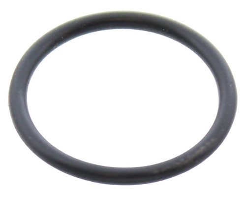 O-RING 17,17X1,78- ARISTON & CHAFFOTEAUX