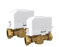 DRAYTON 22MM 2PORT PACK