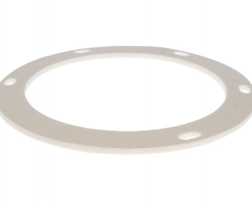 GASKET ECO FLO 239-43197-00