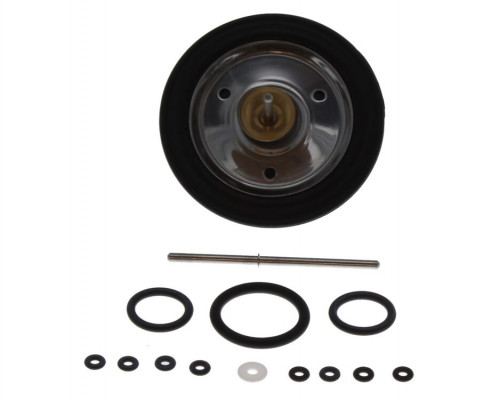 Diaphragm