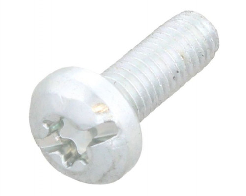 Screw (PK10)