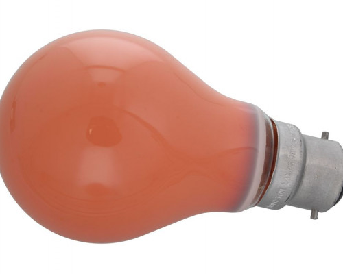 LAMP-40 W-AMBER-BERMUDA VP